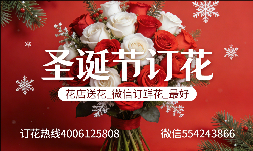 邯郸魏县花店送花_微信订鲜花_圣诞节订花_最好? 邯郸魏县花店